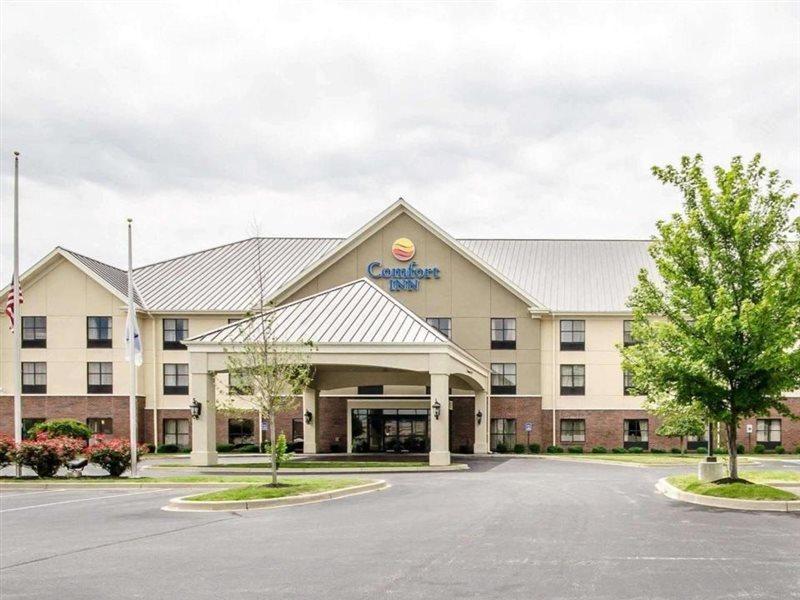 Comfort 3* Louisville