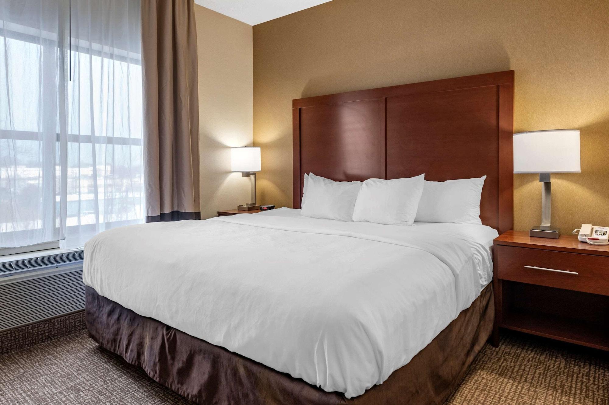Comfort Louisville